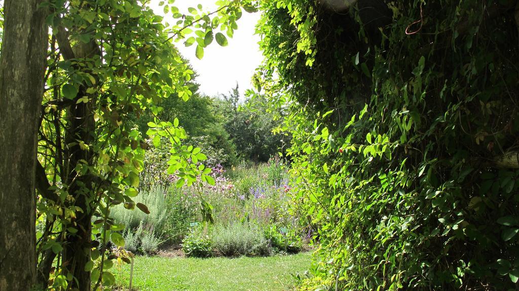 Gaestehaus Am Wangeliner Garten Buitenkant foto