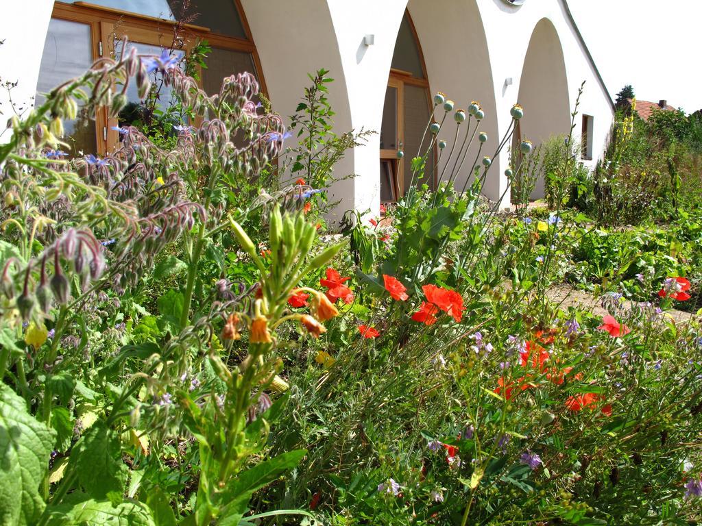 Gaestehaus Am Wangeliner Garten Buitenkant foto